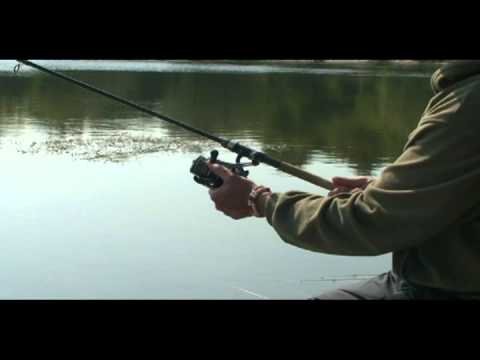 Deverika na feeder (Jan Porter)