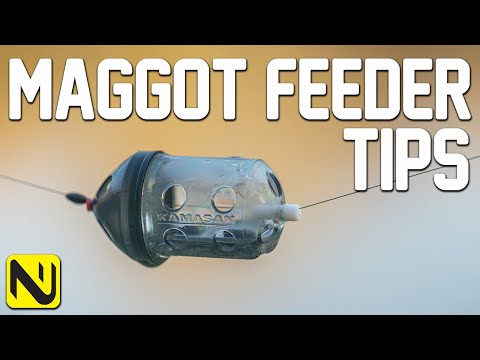 Maggot feeder — brzi saveti